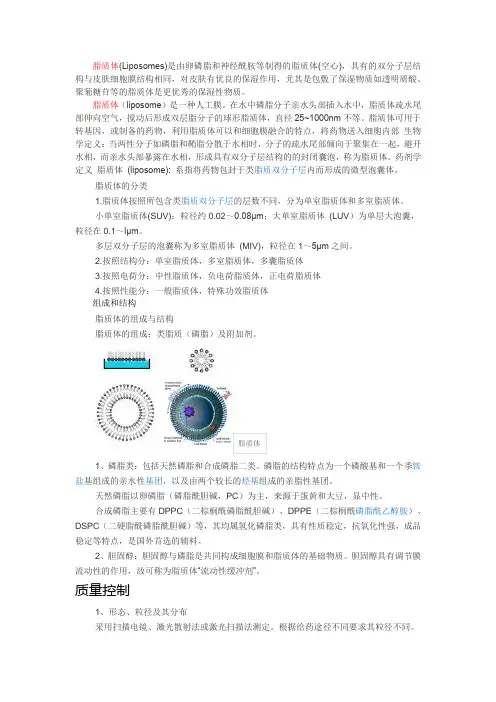 脂质体