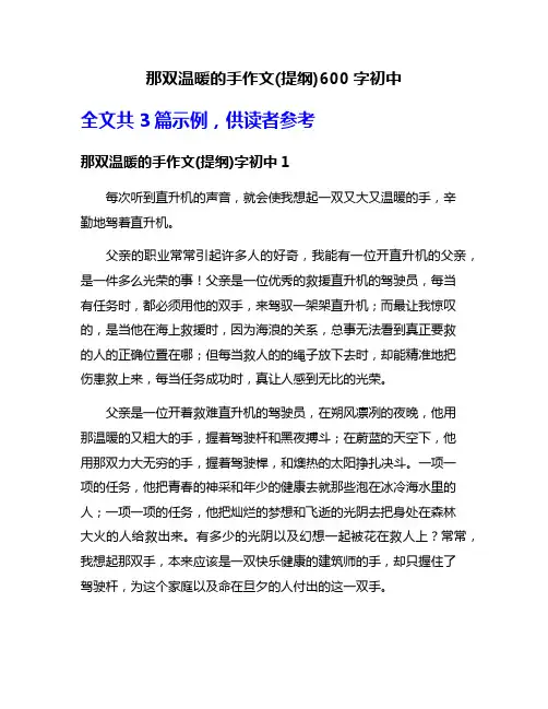 那双温暖的手作文(提纲)600字初中