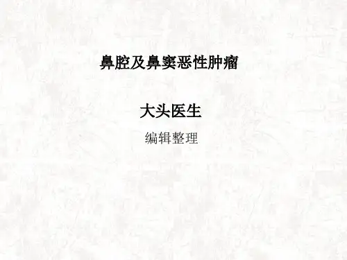 鼻腔及鼻窦恶性肿瘤模板