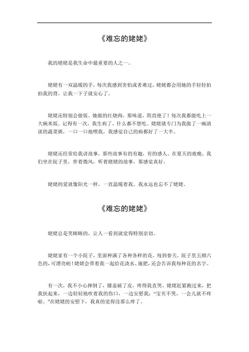 难忘的姥姥作文400字