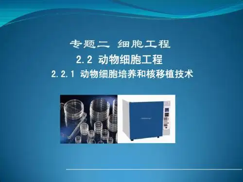 人教版高中生物选修三教学课件 2.2 动物细胞工程(1)