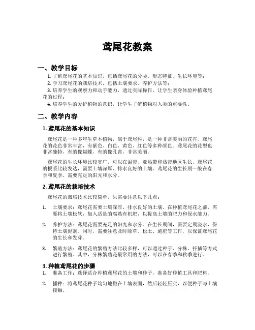 鸢尾花教案