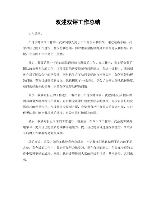 双述双评工作总结