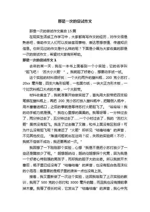 那是一次的尝试作文