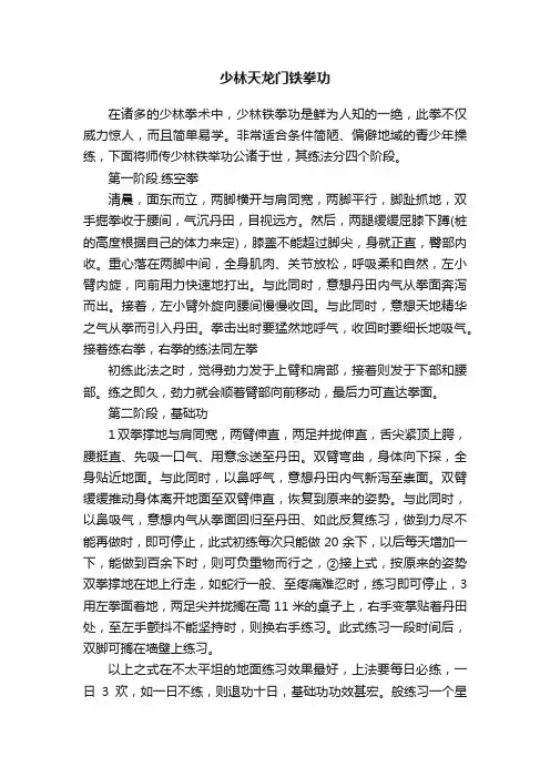 少林天龙门铁拳功