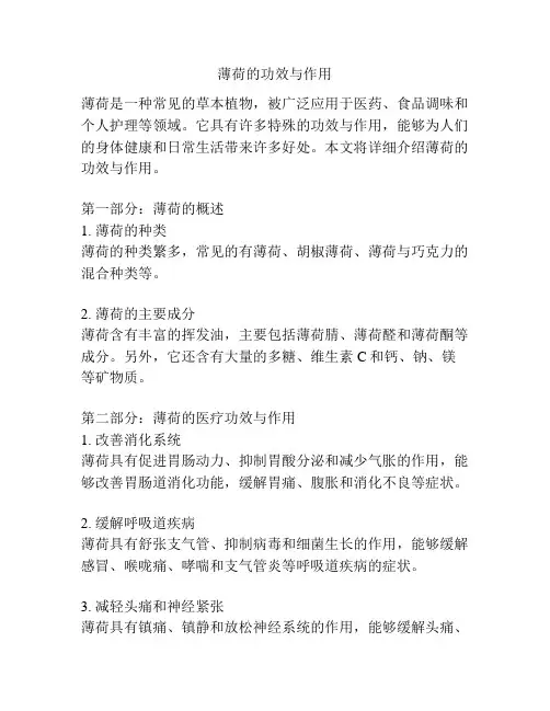 薄荷的功效与作用