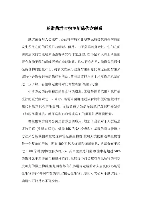 肠道菌群与宿主新陈代谢联系