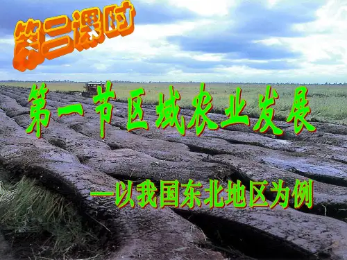 我国东北地区农业发展现状