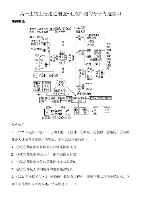 高一生物上册走进细胞-组成细胞的分子专题练习(含答案)