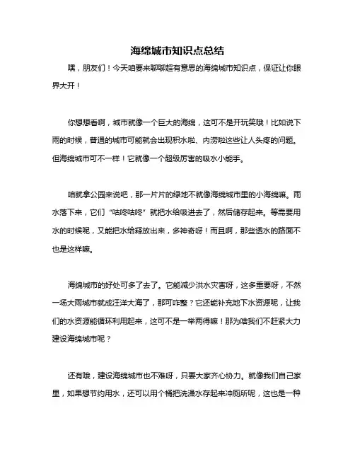 海绵城市知识点总结