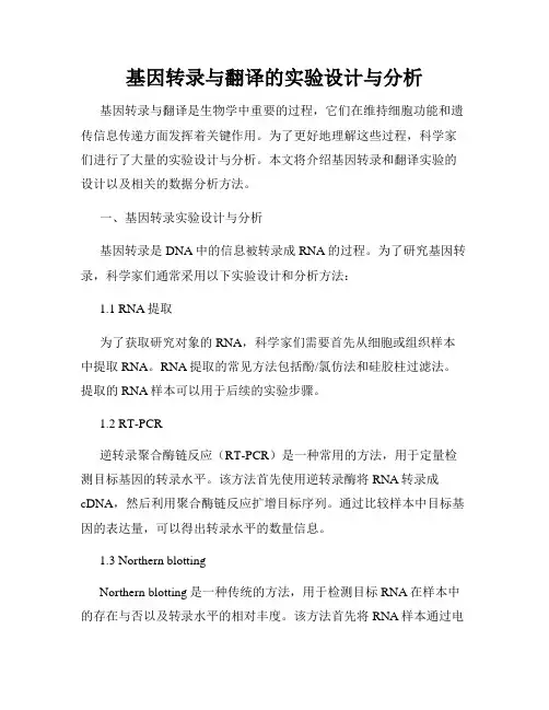 基因转录与翻译的实验设计与分析