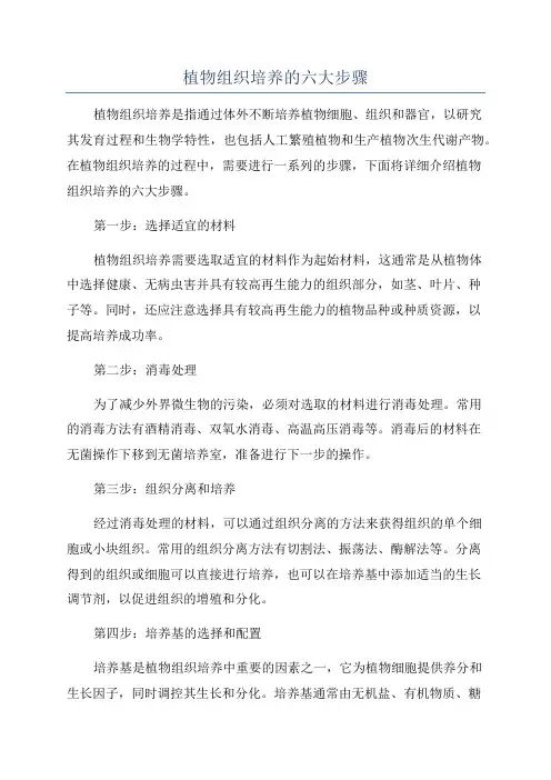 植物组织培养的六大步骤