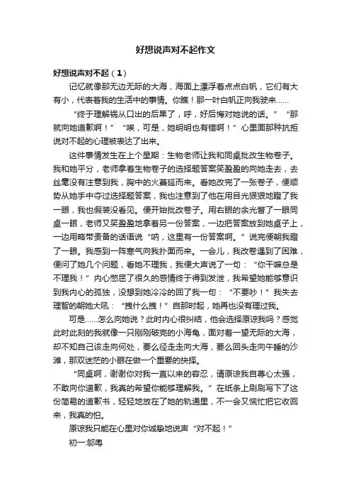 好想说声对不起作文