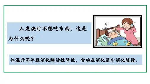 5.1.2酶的特性课件高一上学期生物人教版必修1