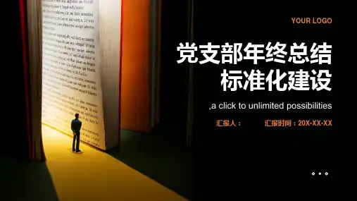 2023党支部年终总结标准化建设