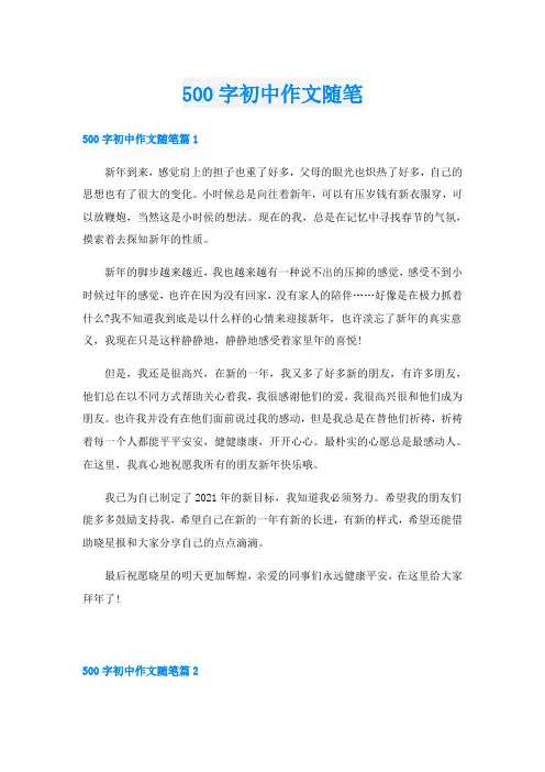 500字初中作文随笔