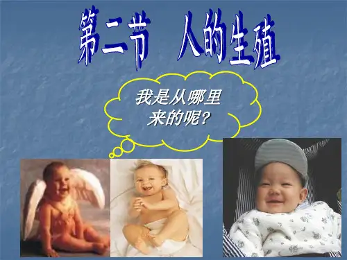 人的生殖过程