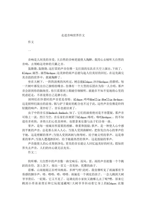 走进音响世界作文