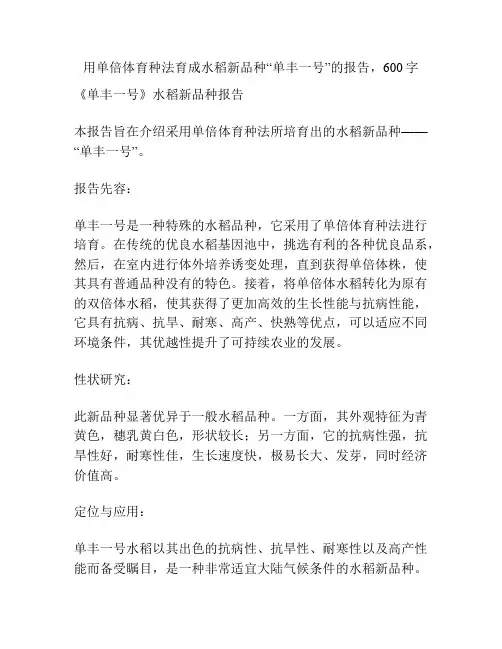 用单倍体育种法育成水稻新品种“单丰一号”