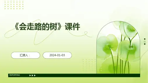《会走路的树》课件
