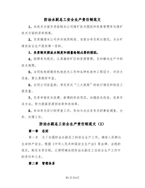 防治水副总工安全生产责任制范文（3篇）