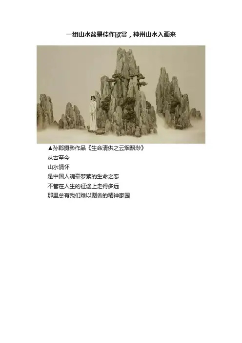 一组山水盆景佳作欣赏，神州山水入画来
