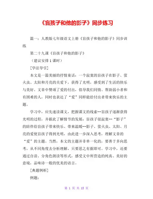 《盲孩子和他的影子》同步练习