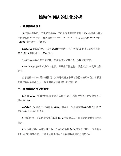 线粒体DNA的进化分析