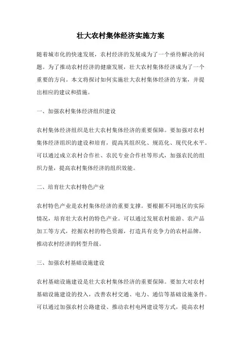 壮大农村集体经济实施方案