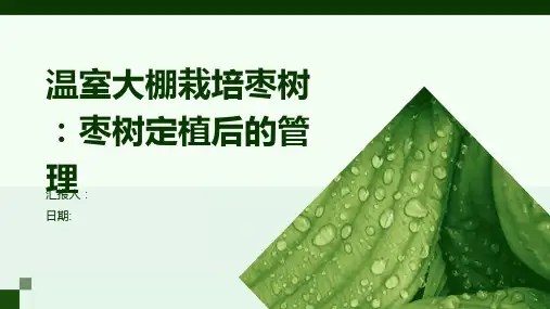温室大棚栽培枣树：枣树定植后的管理