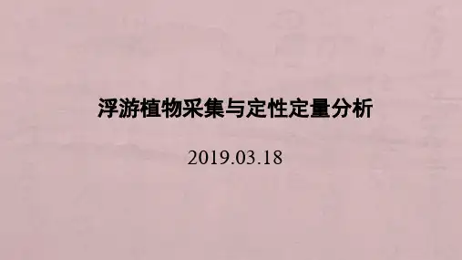 浮游植物采集与定性定量分析