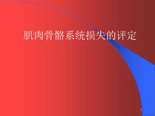 肌肉骨骼系统损伤评定(精品)