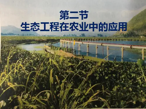 选修3第五章第二节生态工程在农业中的应用 (共20页)