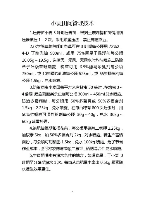 小麦田间管理技术