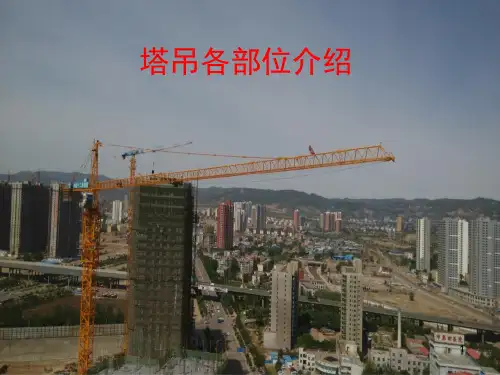 塔吊各部位介绍PPT精选文档课件