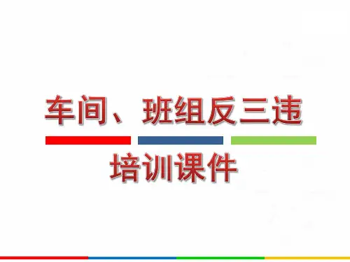 车间、班组反三违培训课件PPT46页