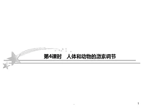 高考二轮复习人体和动物的激素调