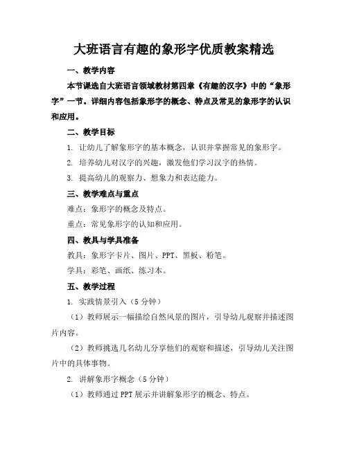 大班语言有趣的象形字优质教案精选