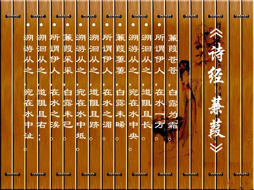 《诗经·蒹葭》 PPT课件