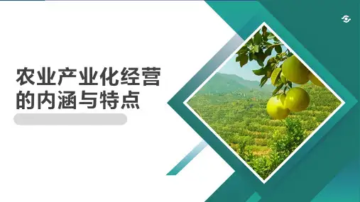 《农业企业经营与管理》课件——项目六  农业产业化经营