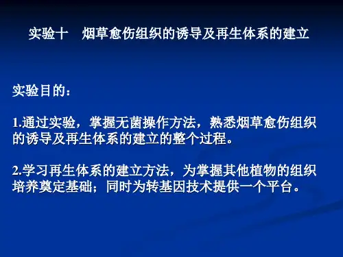 烟草愈伤组织的诱导及再生体系的建立分析