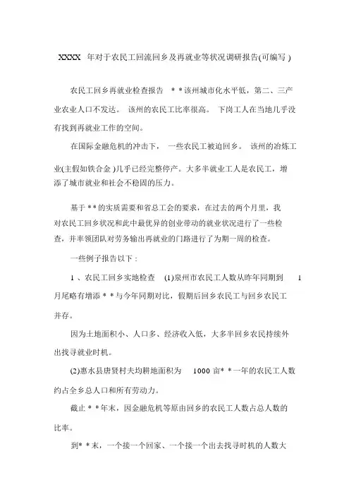 XXXX年关于农民工回流返乡及再就业等情况调研报告(可编辑).doc