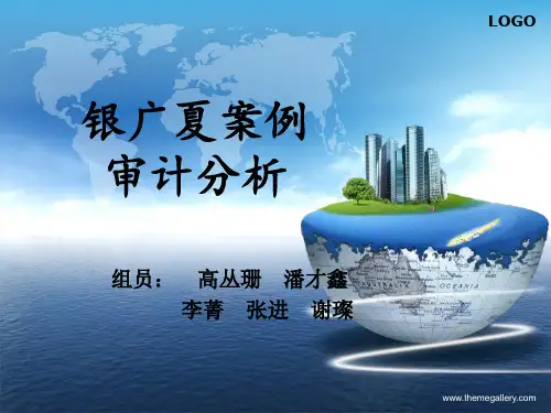 银广夏案例审计分析