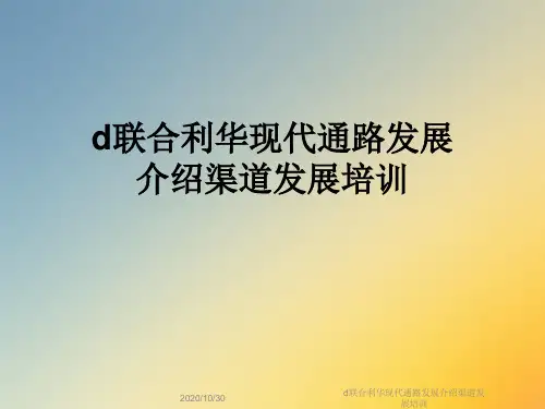 d联合利华现代通路发展介绍渠道发展培训