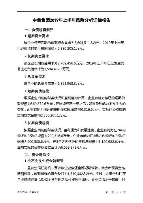 中集集团2019年上半年财务风险分析详细报告