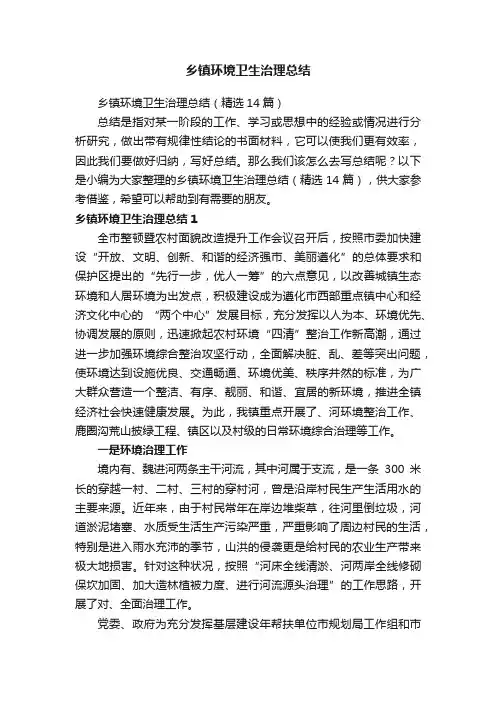 乡镇环境卫生治理总结（精选14篇）