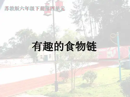 六年级下册科学课件-4.3有趣的食物链｜苏教版(共18张PPT)