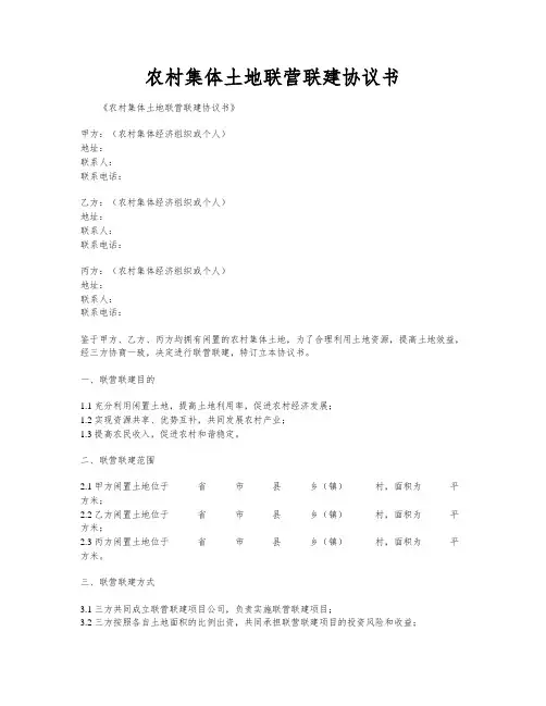农村集体土地联营联建协议书