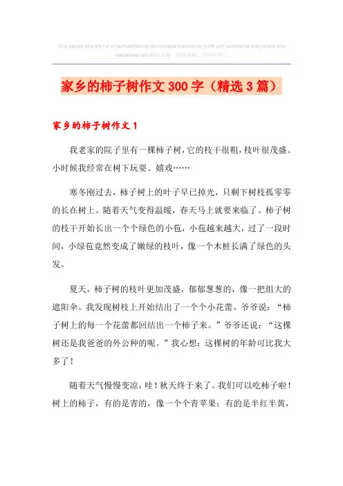 家乡的柿子树作文300字(精选3篇)