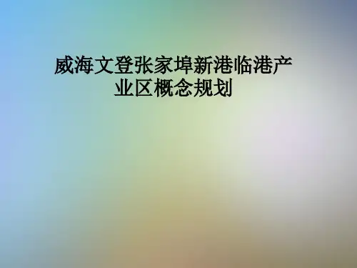 威海文登张家埠新港临港产业区概念规划